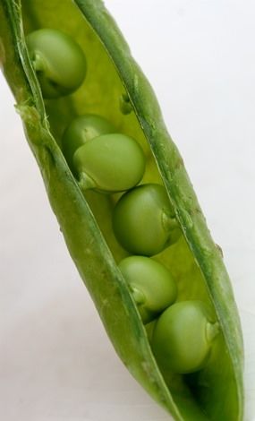 Добавление зеленого горошка в корм