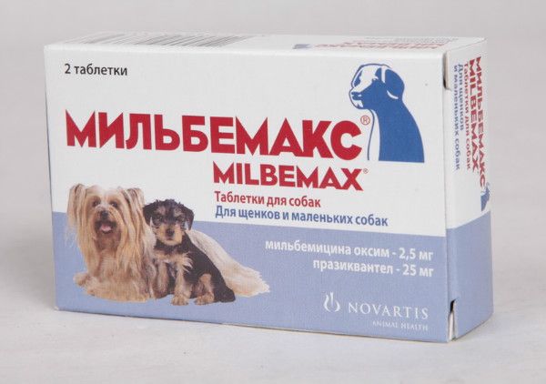 Лекарство от глистов у собаки