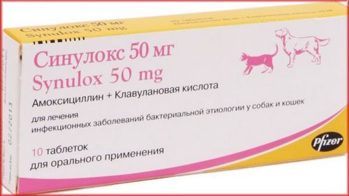 Синулокс - в таблетках для кошек